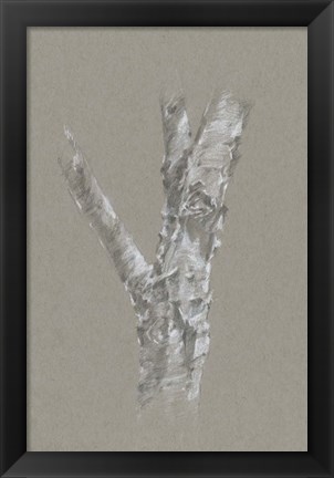 Framed Chalk Birch Study II Print