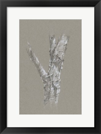 Framed Chalk Birch Study II Print