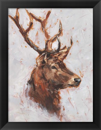 Framed Stag Study II Print