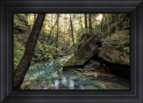Framed Filtered Light I Print