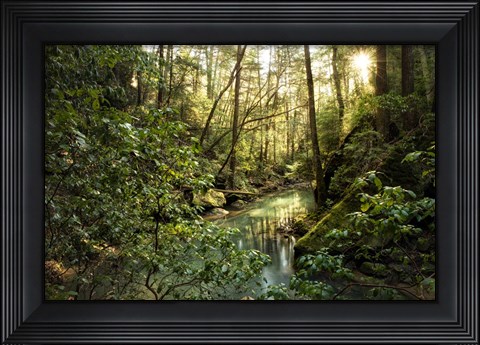 Framed Filtered Light II Print