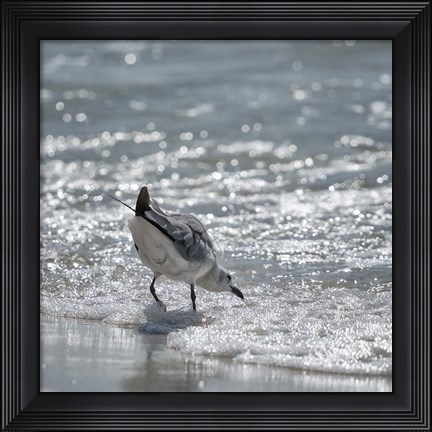 Framed Bottoms Up Print