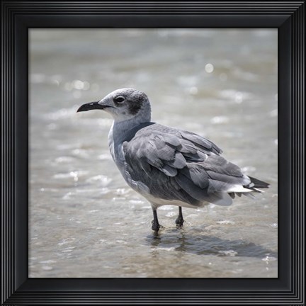 Framed Knee Deep Print