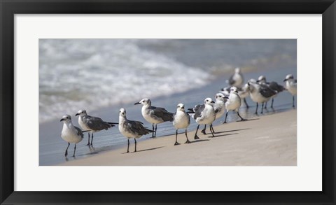 Framed What&#39;s Up Gulls Print