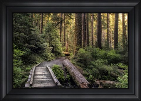 Framed Morning Calls Print