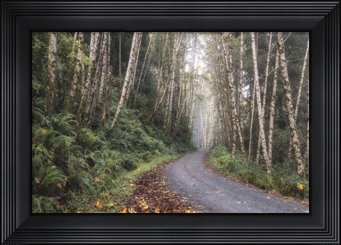 Framed Mountain Drive Print