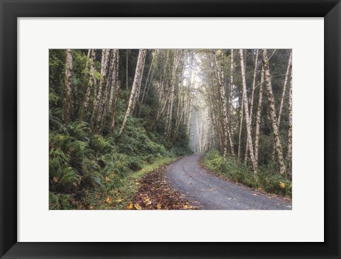 Framed Mountain Drive Print