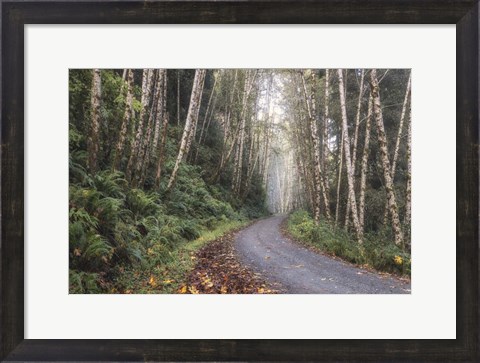 Framed Mountain Drive Print