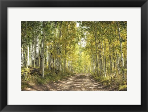 Framed Aspen Drive Print