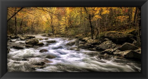 Framed Autumn Bliss Print