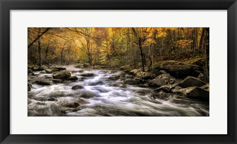 Framed Autumn Bliss Print