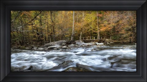 Framed Foot Bridge Print