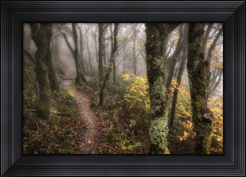 Framed Fog Ahead Print