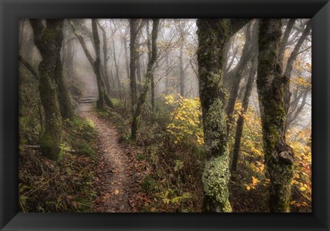 Framed Fog Ahead Print