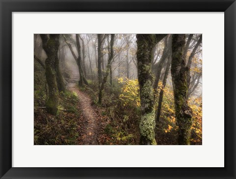 Framed Fog Ahead Print