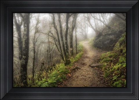 Framed Narrow Path Print