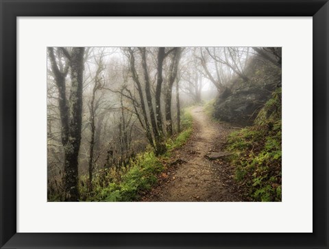 Framed Narrow Path Print