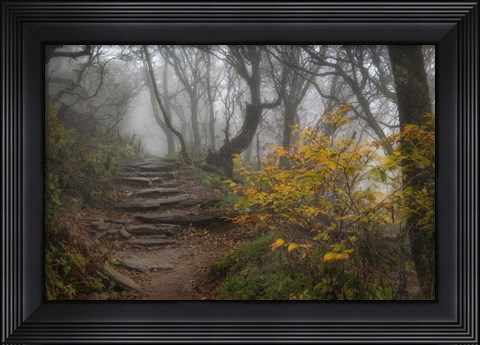 Framed Stone Steps Print