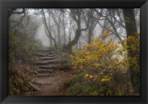 Framed Stone Steps Print