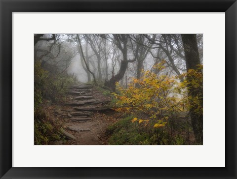 Framed Stone Steps Print