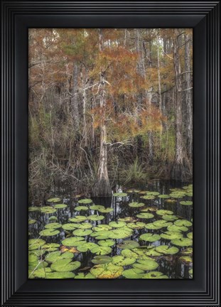 Framed Black Water I Print