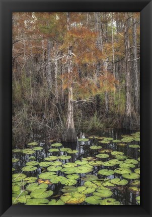 Framed Black Water I Print