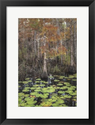 Framed Black Water I Print