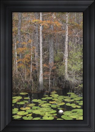 Framed Black Water II Print