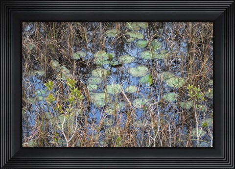 Framed Marsh Print