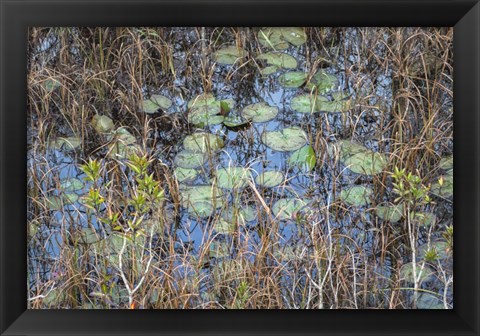 Framed Marsh Print