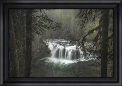 Framed Misty Print