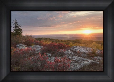 Framed Good Morning Print