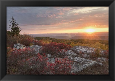 Framed Good Morning Print