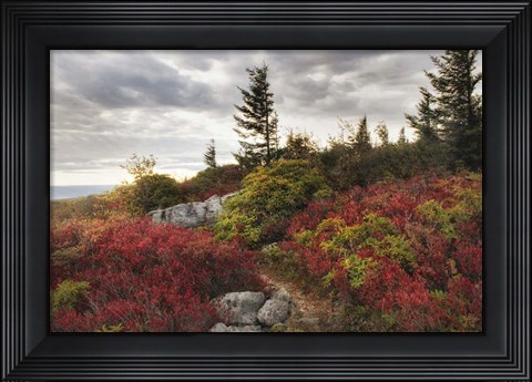 Framed Highland Trail Print