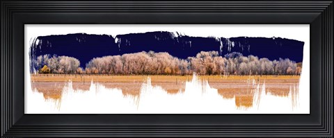 Framed Treeline Panorama Print