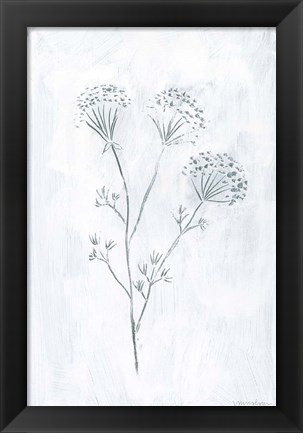 Framed Milkweeds II Print