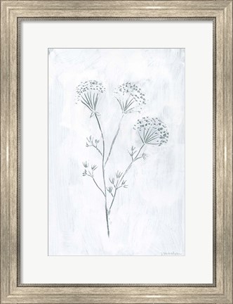 Framed Milkweeds II Print
