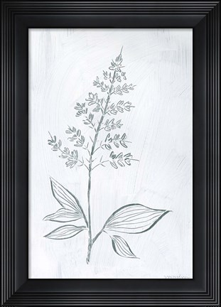 Framed Milkweeds IV Print
