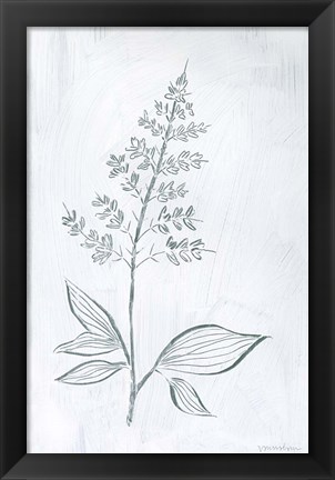 Framed Milkweeds IV Print