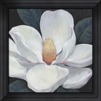 Framed Blooming Magnolia I Print