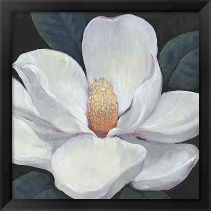 Framed Blooming Magnolia I Print