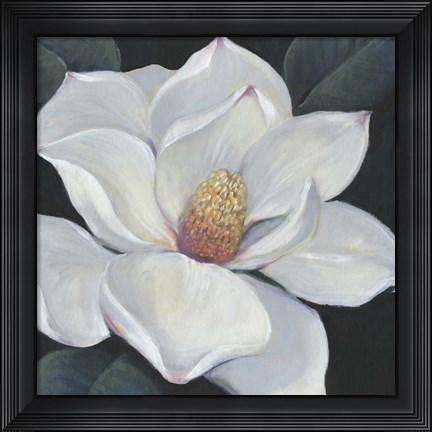 Framed Blooming Magnolia II Print
