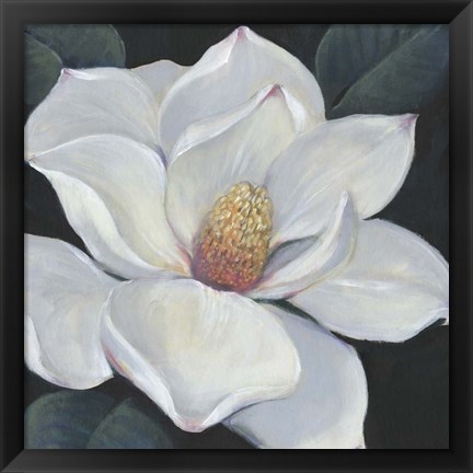 Framed Blooming Magnolia II Print