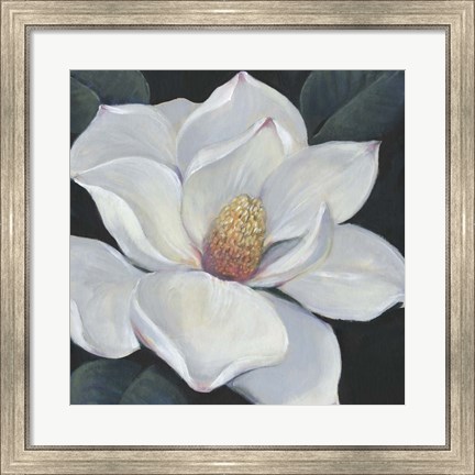 Framed Blooming Magnolia II Print