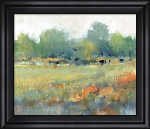 Framed Rural Land II Print