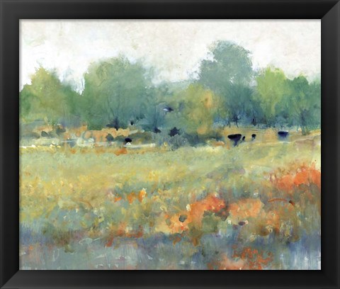 Framed Rural Land II Print