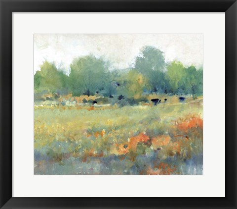 Framed Rural Land II Print