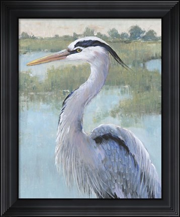 Framed Blue Heron Portrait I Print