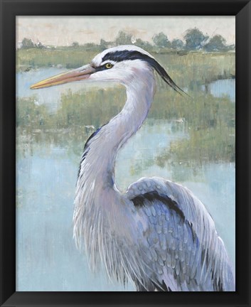 Framed Blue Heron Portrait I Print