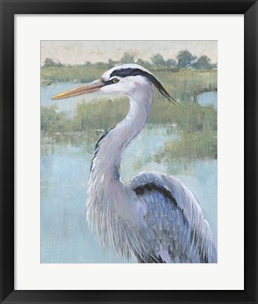 Framed Blue Heron Portrait I Print